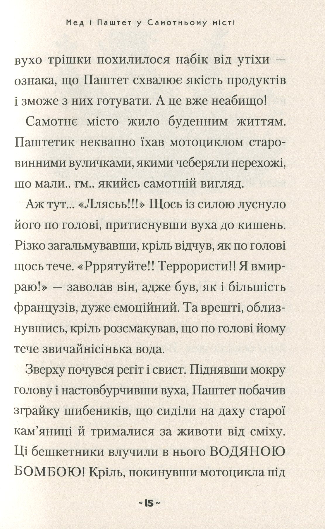 Hidden Product Image 12