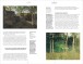 Фото Impressionism 3