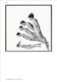 Фото Body 4