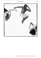Фото Body 5