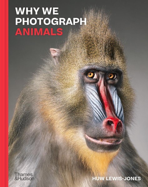 Фото Why We Photograph Animals