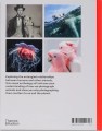Фото Why We Photograph Animals 2