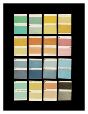 The Anatomy of Colour