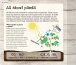 Фото Grow. A Family Guide to Growing Fruit and Veg 9