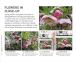 Фото How to Photograph Absolutely Everything 2