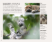 Фото How to Photograph Absolutely Everything 4