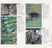 Фото How to Photograph Absolutely Everything 5