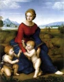 Фото Raphael 4