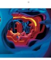 Фото Panton 5