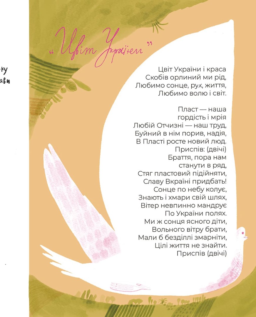 Hidden Product Image 9