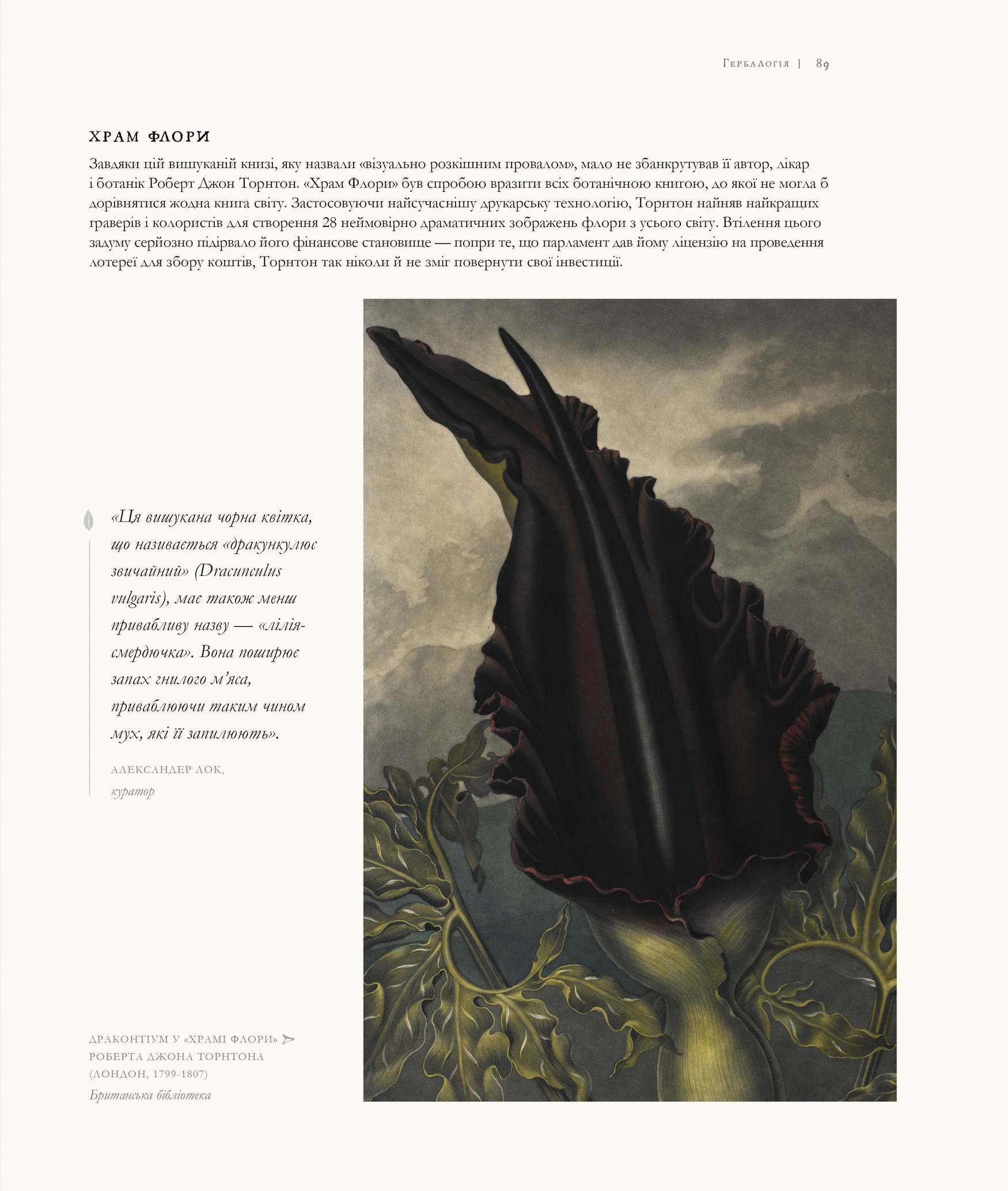 Hidden Product Image 8