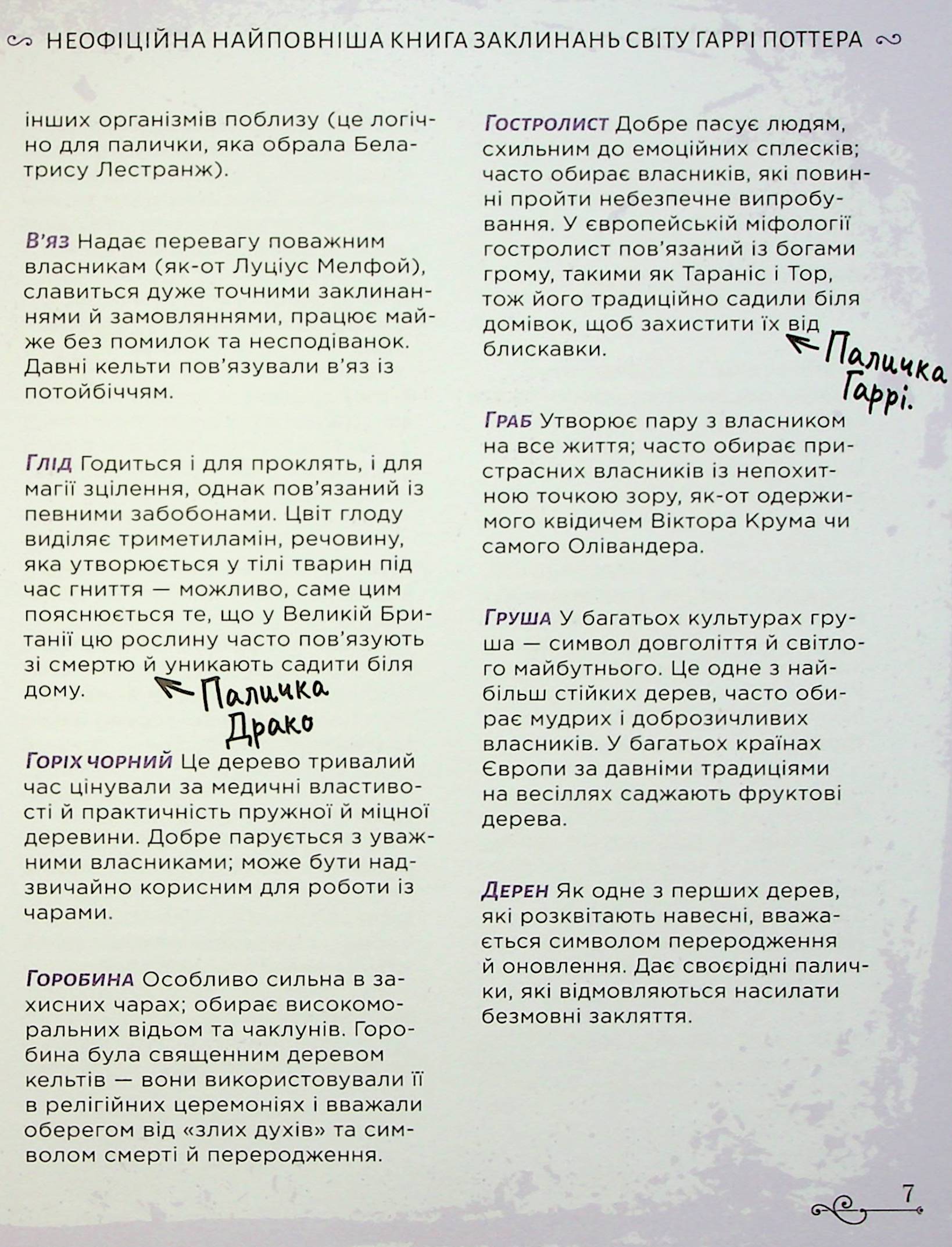 Hidden Product Image 7