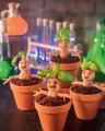 Фото Книга ласощів Гаррі Поттера. Неофіційне видання 7