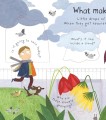 Фото Lift-the-Flap. First Questions & Answers. What Makes it Rain? 2
