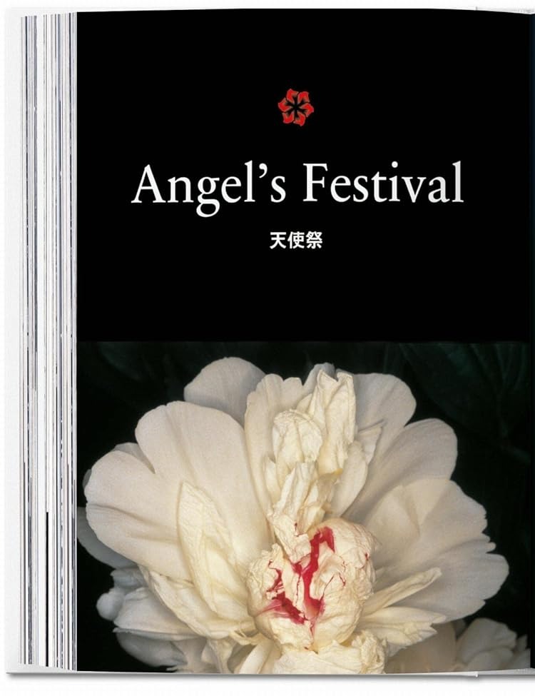 Hidden Product Image 8