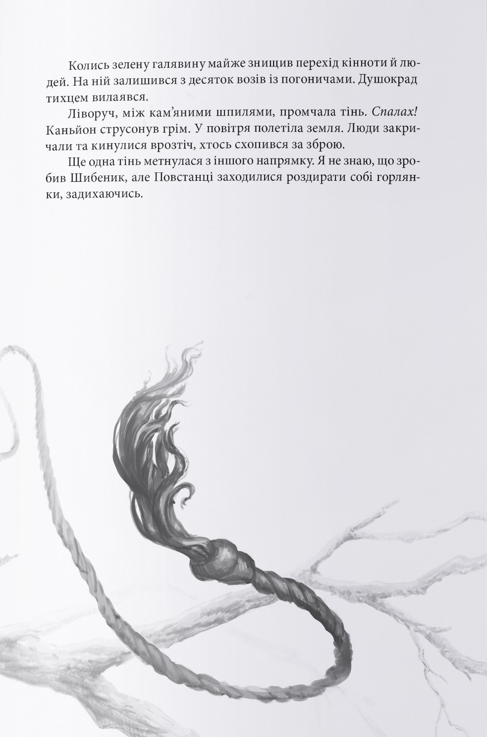 Hidden Product Image 9