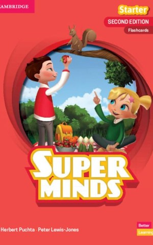 Super Minds Starter Flashcards