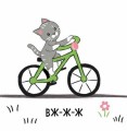 Фото Моя контрастна книжка. Машинки 5
