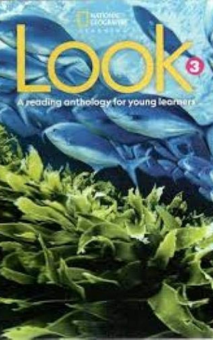 Look 3. WorkBook with Online Practice