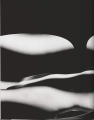 Фото Ralph Gibson. Nude 6
