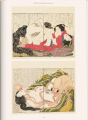 Фото Hokusai 8
