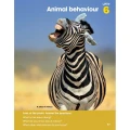 Фото Look 3. Student’s Book 4