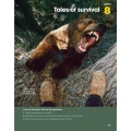 Фото Look 6. Student’s Book 4