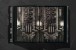 Фото HR Giger 4