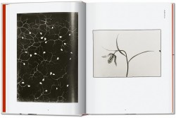 Karl Blossfeldt. The Complete Published Work. 40th Edition