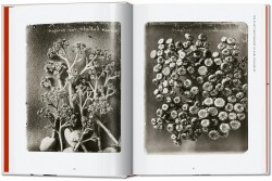 Karl Blossfeldt. The Complete Published Work. 40th Edition