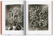 Фото Karl Blossfeldt. The Complete Published Work. 40th Edition 3