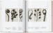 Фото Karl Blossfeldt. The Complete Published Work. 40th Edition 4