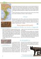 Фото L'Italia e` cultura. Storia 3