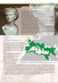 Фото L'Italia e` cultura. Storia 4