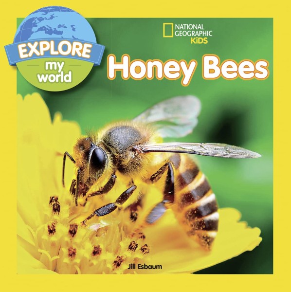 Фото Explore My World: Honey Bees