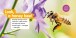Фото Explore My World: Honey Bees 2