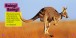Фото Explore My World: Kangaroos 2