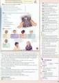 Фото Smart Junior 6. Teacher's Book 12