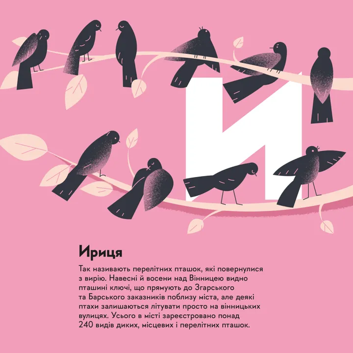 Hidden Product Image 11
