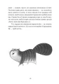 Фото Справжнісінький кіт 10