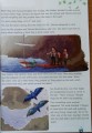 Фото Storyfun for Flyers. Level 6. Student's Book with Online Activities and Home Fun B 5