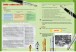 Фото Spazio Italia 4 (B2): Manuale + Eserciziario + Risorse Online 9