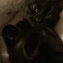 Олександра