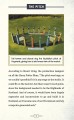 Фото Harry Potter Quidditch at Hogwarts. The Player's Kit 7