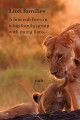 Фото Ladybird Readers Level 1. BBC Earth: Baby Animals 2