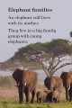 Фото Ladybird Readers Level 1. BBC Earth: Baby Animals 4