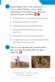 Фото Ladybird Readers Level 6. BBC Earth: Amazing Predators 7