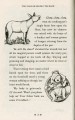 Фото The Tales of Beedle the Bard 9