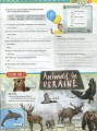 Фото To the Top 1A. Student's Book + Workbook with Culture Time for Ukraine (+ CD-ROM) 4