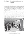 Фото Cambridge English Readers: Parallel.  Level 1 Beginner/Elementary 2